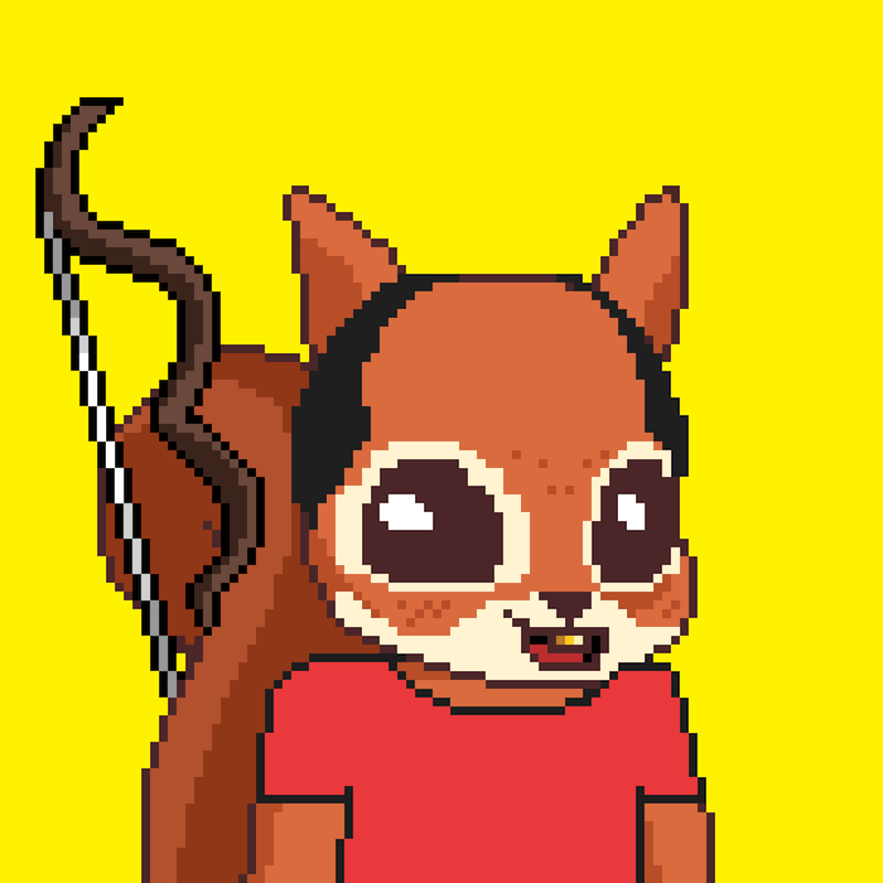 Pixel Squirrels #2372